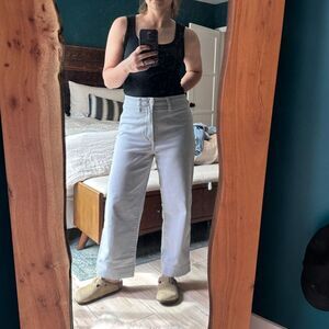 Madewell Slim Emmett Wide Leg Crop sz 27 in Dusty Pool